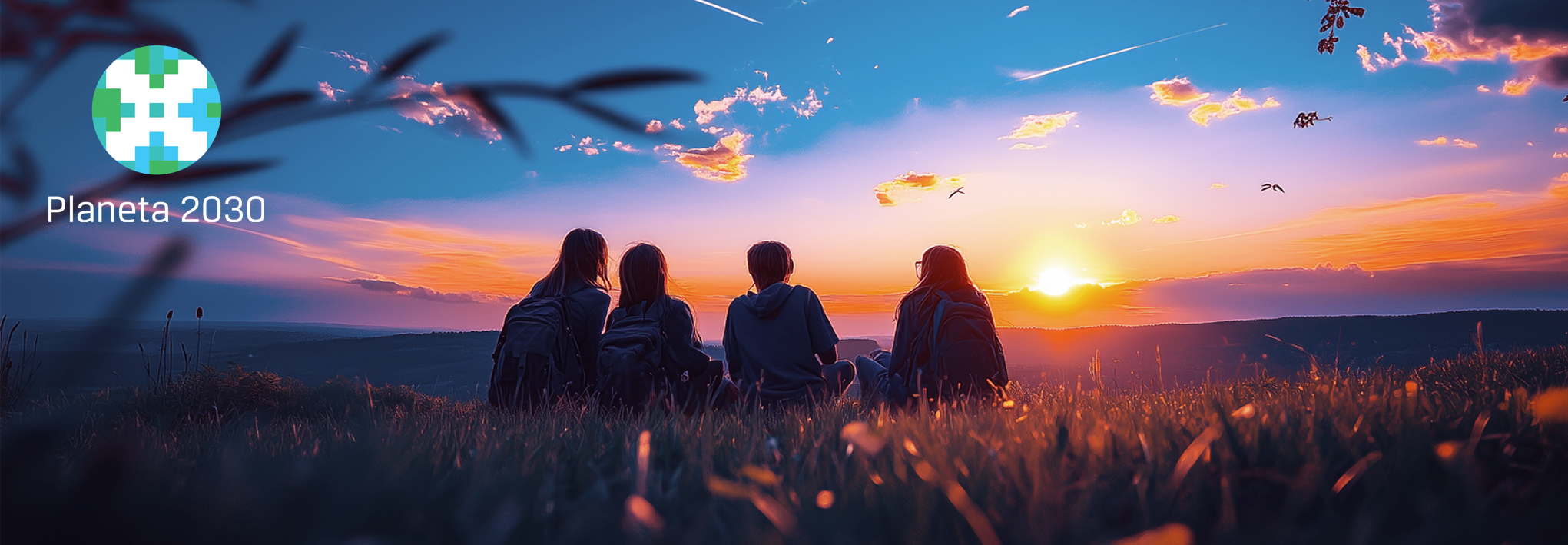 Era de la Sostenibilidad